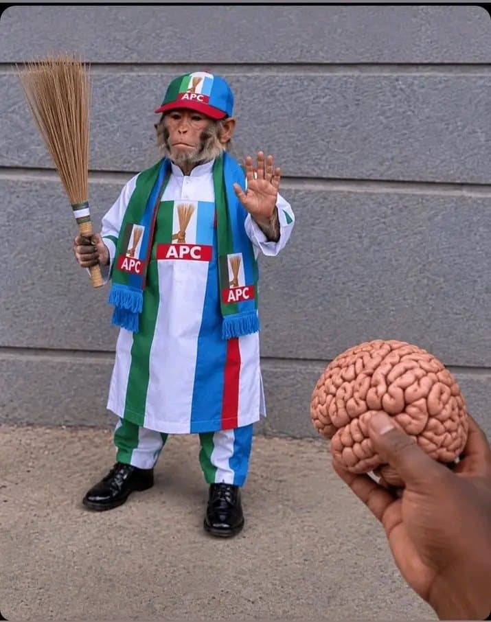 No Brain team